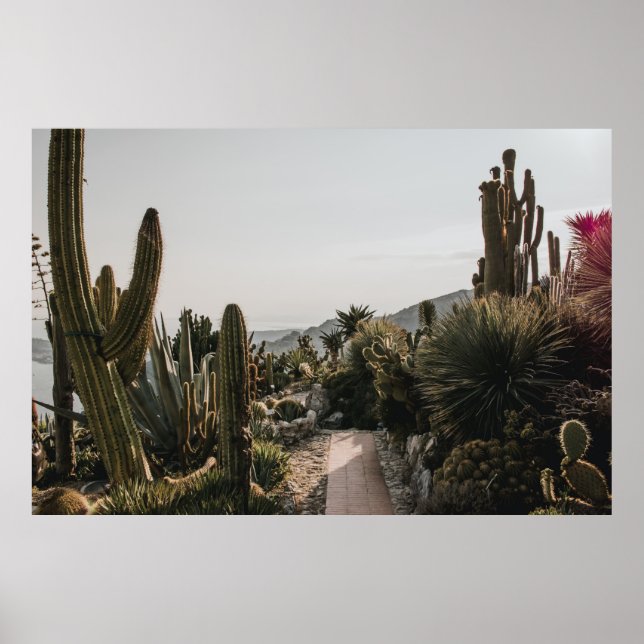 CACTI BACKE POSTER (Framsidan)