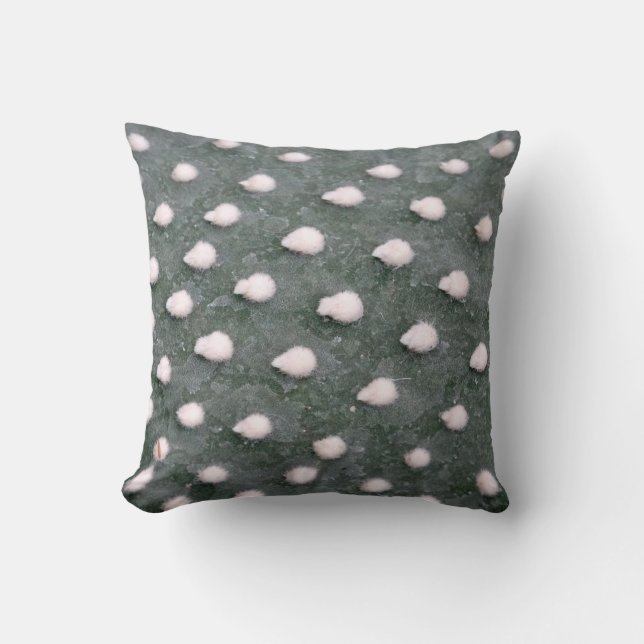 Cacti Detail Photo Throw Cushion 41 cm x 41 cm Kudde (Framsida)