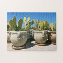 Cacti in Ceramic Pots in Puglia, Italien