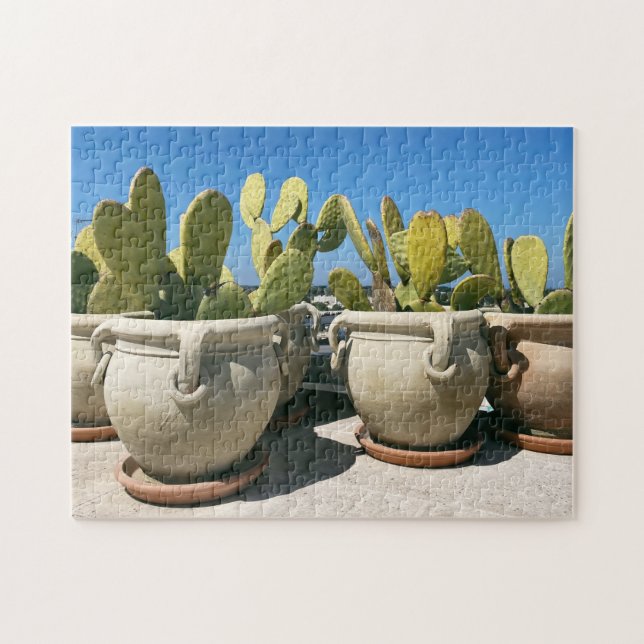 Cacti in Ceramic Pots in Puglia, Italien Pussel (Horisontell)