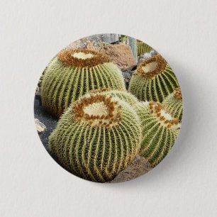 Cacti-knapp Knapp