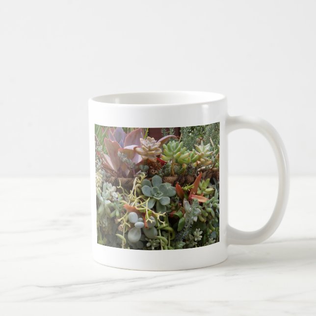 Cacti med flera färgader kaffemugg (Höger)