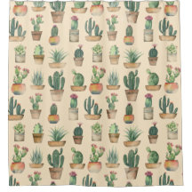 Cacti Mönster Plants Illustration