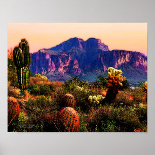 Cacti och Lila, Arizona Desert 14x11 Poster