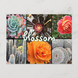 Cacti- och ro fotokollage blommar citat vykort