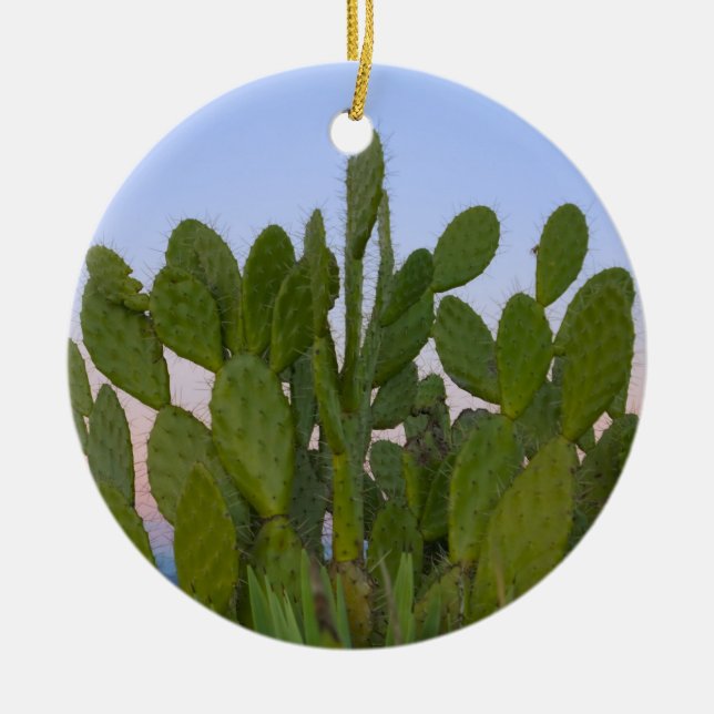 Cacti och sisal i torr skog julgransprydnad keramik (Framsidan)