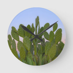 Cacti och sisal i torr skog rund klocka