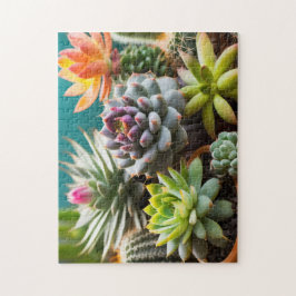 Cacti- och succulents-gruppering pussel