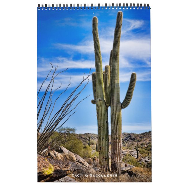 Cacti och Succulents Kalender (Omslag)