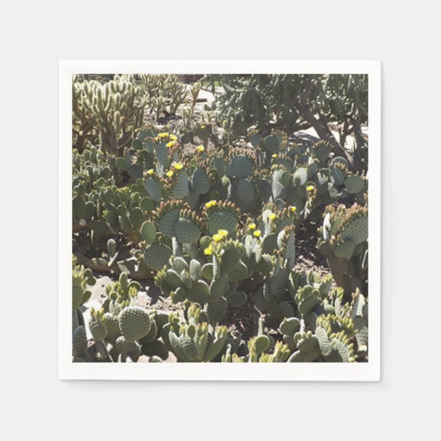 Cacti Pappersservett (Framsidan)