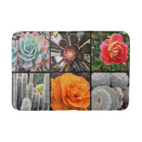 Cacti ro-blommor fotograferar modern fetstil