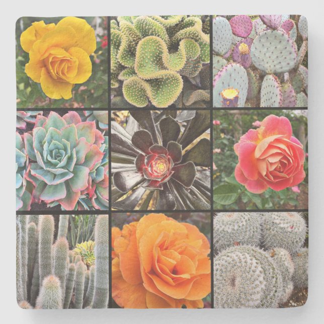 Cacti Ro Flowers Photography Collage Modern Bold Stenunderlägg (Framsidan)