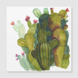 Cacti, succulents: vintagens vattenfärg.