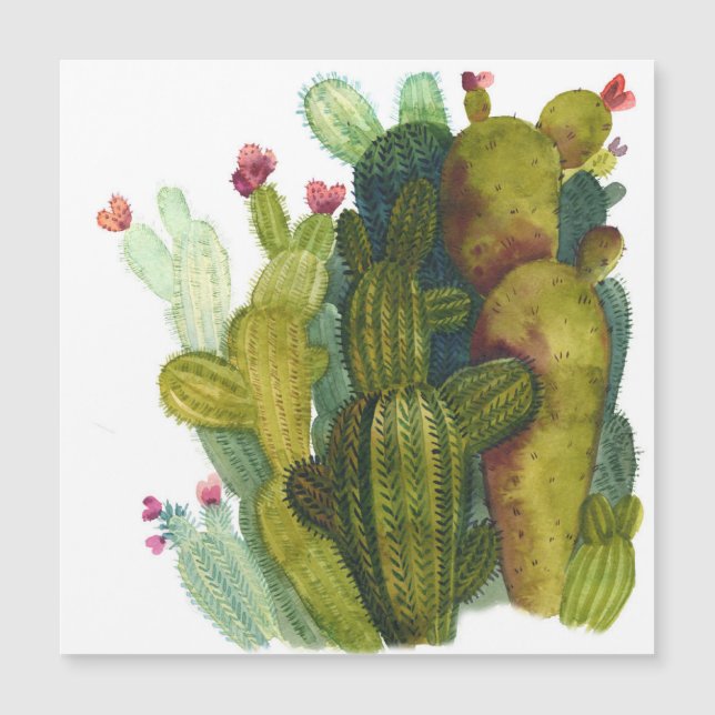 Cacti, succulents: vintagens vattenfärg. (Framsida)