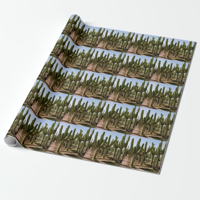Cacti-trädgård, tropiska ökenlandskap. presentpapper (Utrullad)