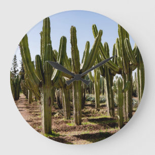 Cacti-trädgård, tropiska ökenlandskap. stor klocka