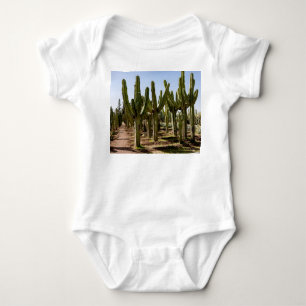 Cacti-trädgård, tropiska ökenlandskap. t shirt