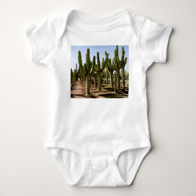 Cacti-trädgård, tropiska ökenlandskap. t shirt (Framsida)