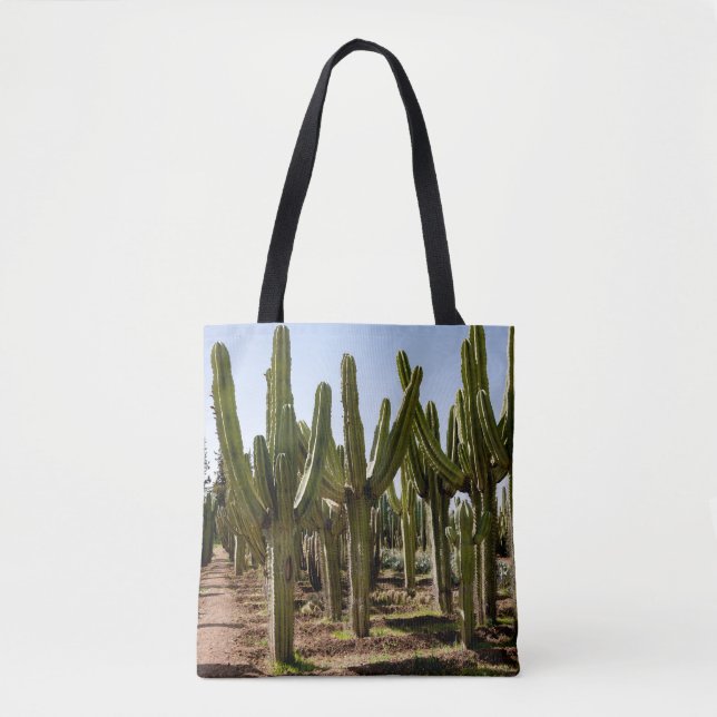 Cacti-trädgård, tropiska ökenlandskap. tygkasse (Framsida)