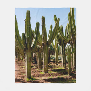 Cacti-trädgården. Grönt lång kaktusar och suck Fleecefilt