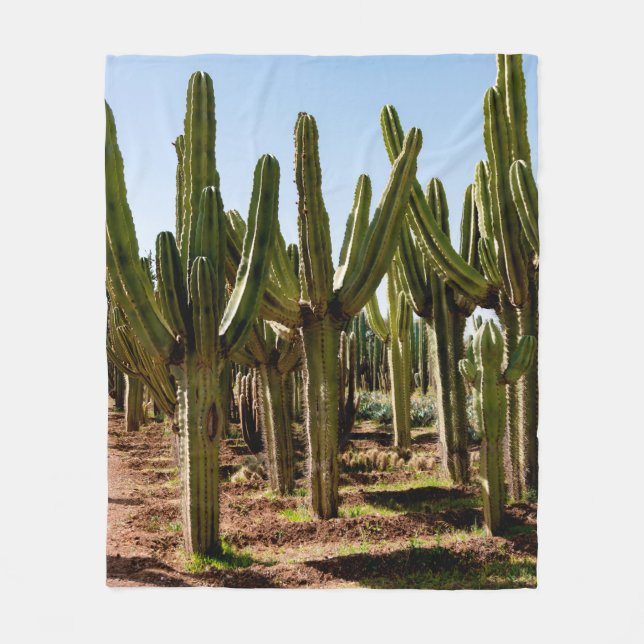 Cacti-trädgården. Grönt lång kaktusar och suckultu Fleecefilt (Framsidan)