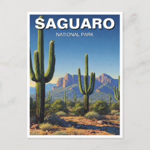 Cacti vid Saguaro nationalpark Souvenir Vykort