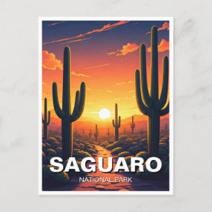 Cacti vid Saguaro nationalpark Souvenir Vykort