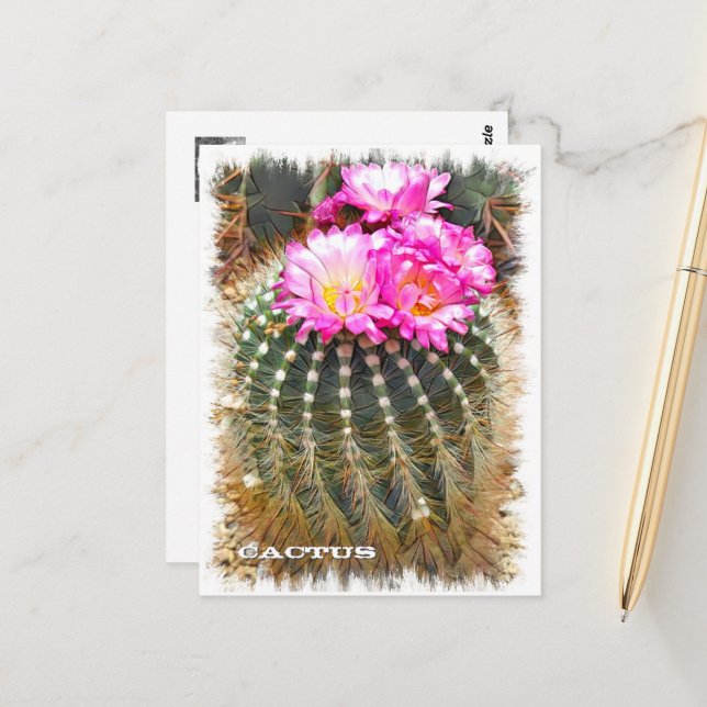 Cactus ポストカード vykort (Fram/Back In Situ)