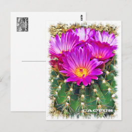 Cactus ポストカード vykort