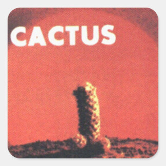 Cactus 1970 Stickers (Reproduction) Fyrkantigt Klistermärke