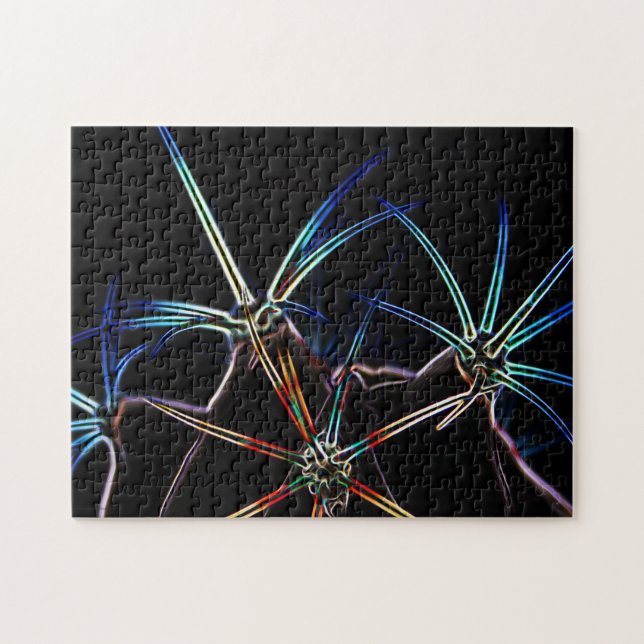 Cactus 1 11x14 252pc jpcna pussel (Horisontell)