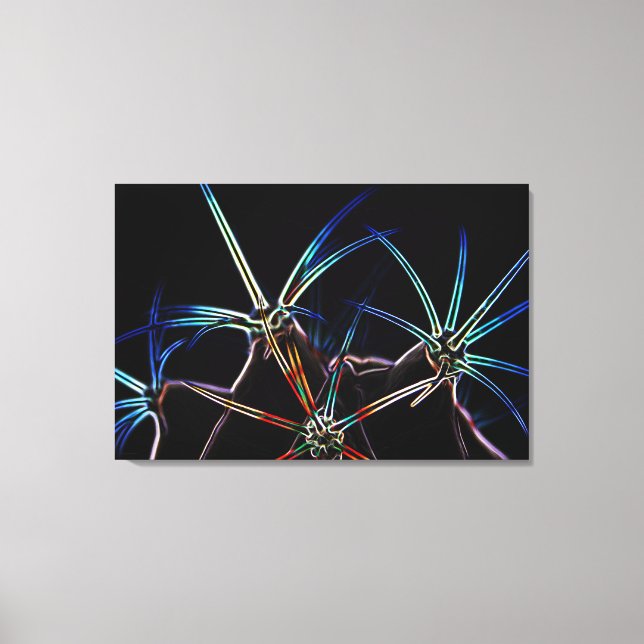 Cactus 1 36 x 24 (90 x 60 cm) waccna canvastryck (Framsida)