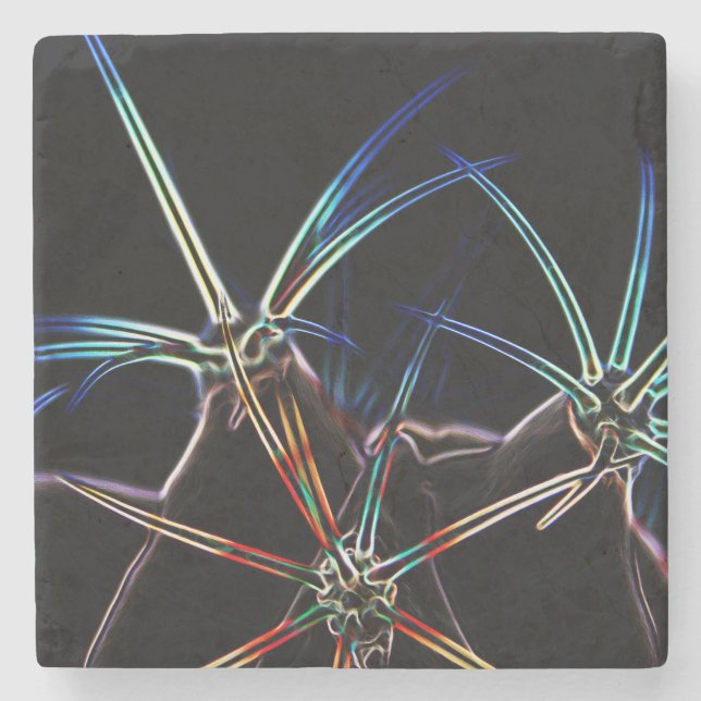 Cactus 1 kusterm stenunderlägg (Framsidan)