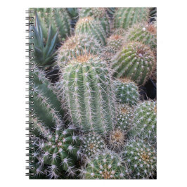Cactus Anteckningsbok