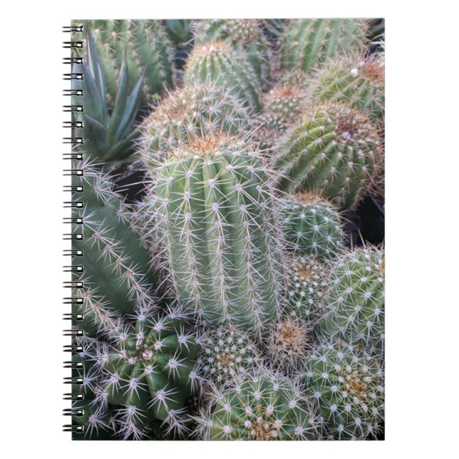 Cactus Anteckningsbok (Framsidan)