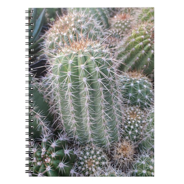 Cactus Anteckningsbok (Framsidan)