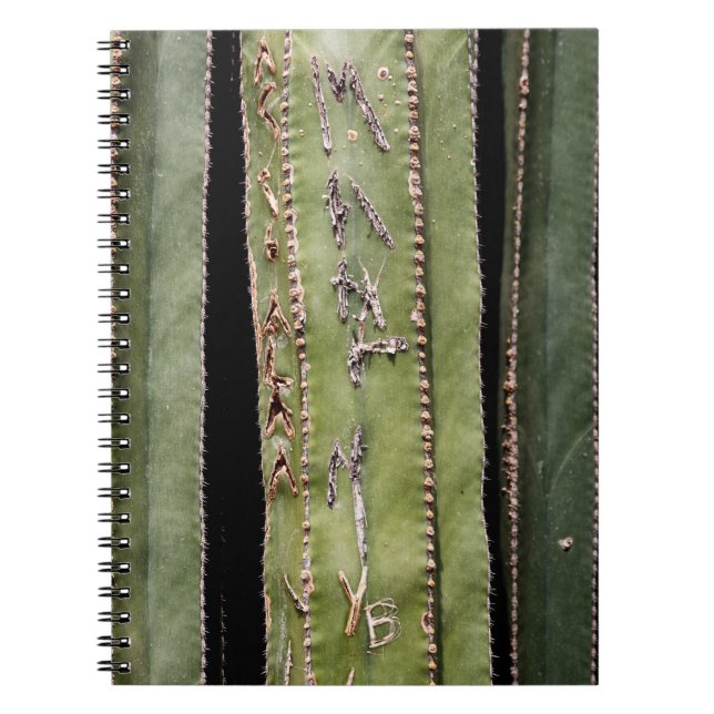 Cactus Anteckningsbok (Framsidan)