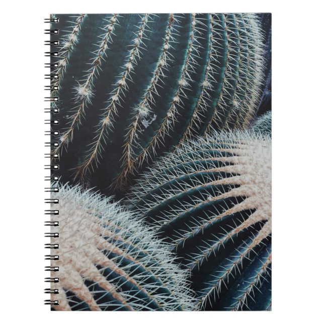 Cactus Anteckningsbok (Framsidan)