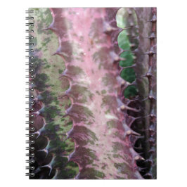 Cactus Anteckningsbok Med Spiral