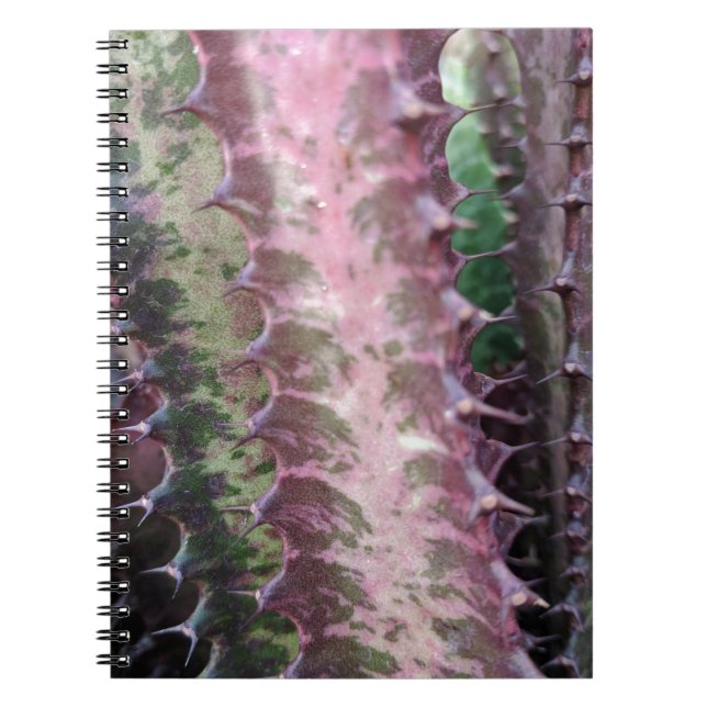 Cactus Anteckningsbok Med Spiral (Framsidan)
