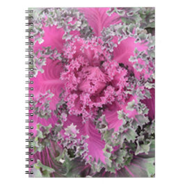 Cactus Anteckningsbok Med Spiral