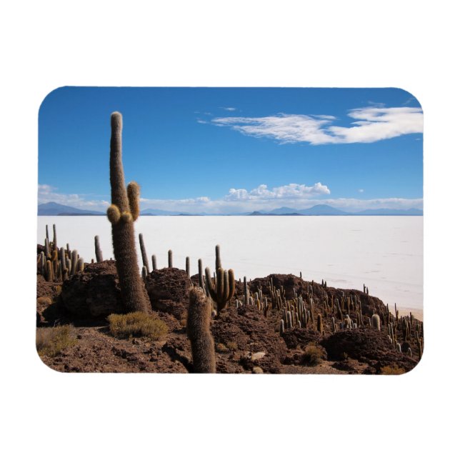 Cactus at Salar de Uyuni Rectangular magnet (Horisontell)