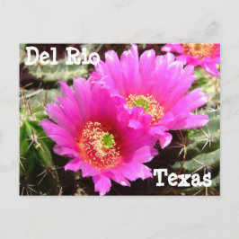 Cactus blomdel Del Rio Texas vykort