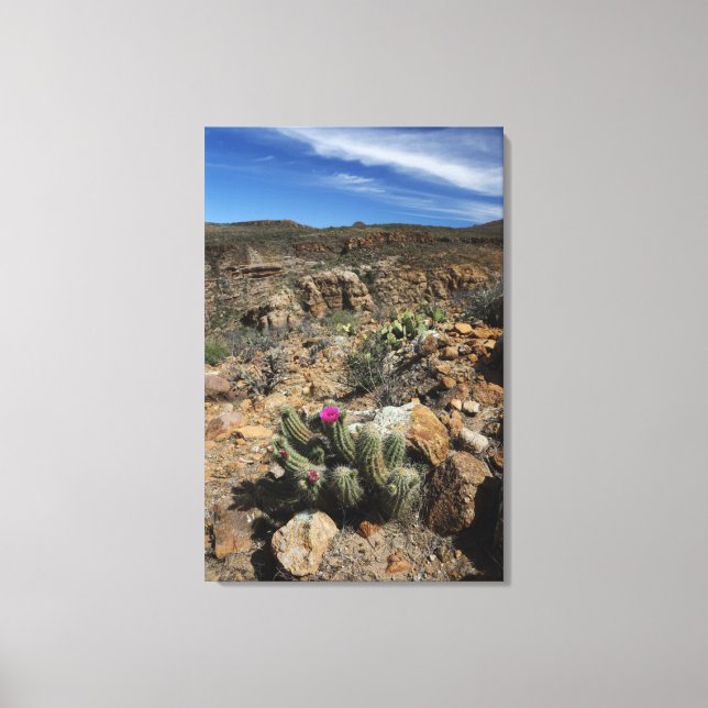 Cactus Blommar Canvastryck (Framsida)