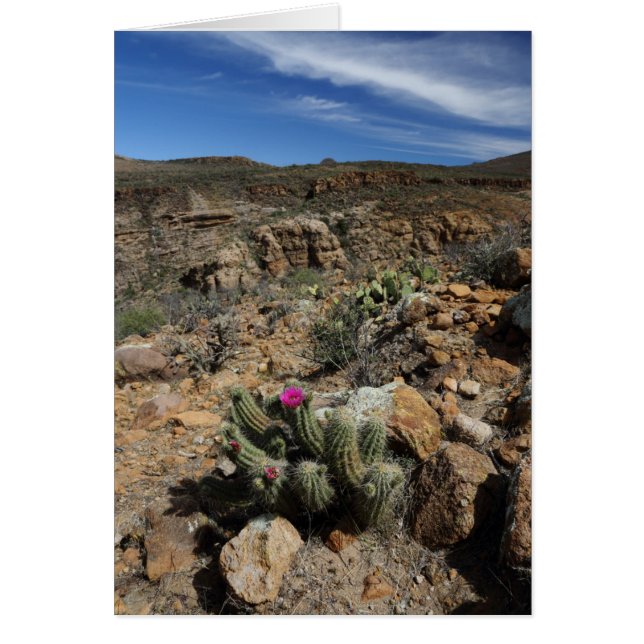 Cactus Blommar Hälsningskort (Framsidan)
