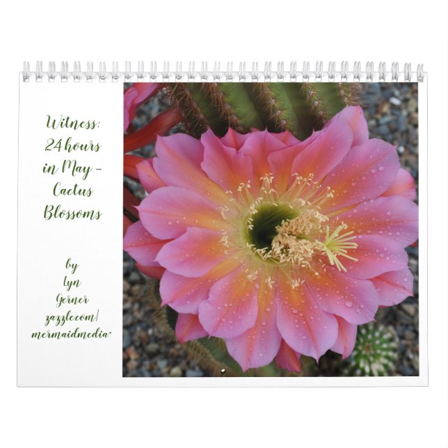 Cactus Blommars Calendar Kalender (Omslag)