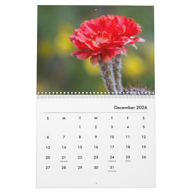 Cactus blommor kalender (Dec 2026)