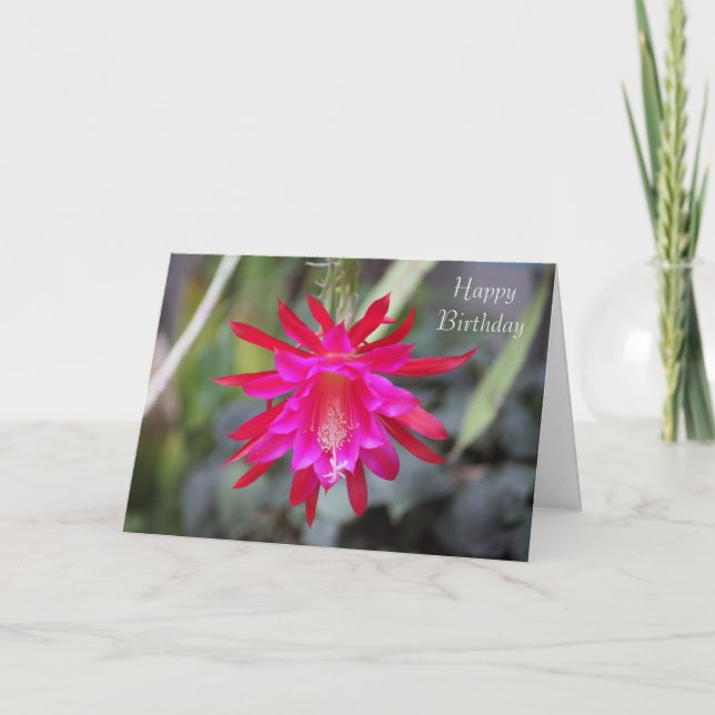 Cactus blomsterdagskort kort (Framsida)