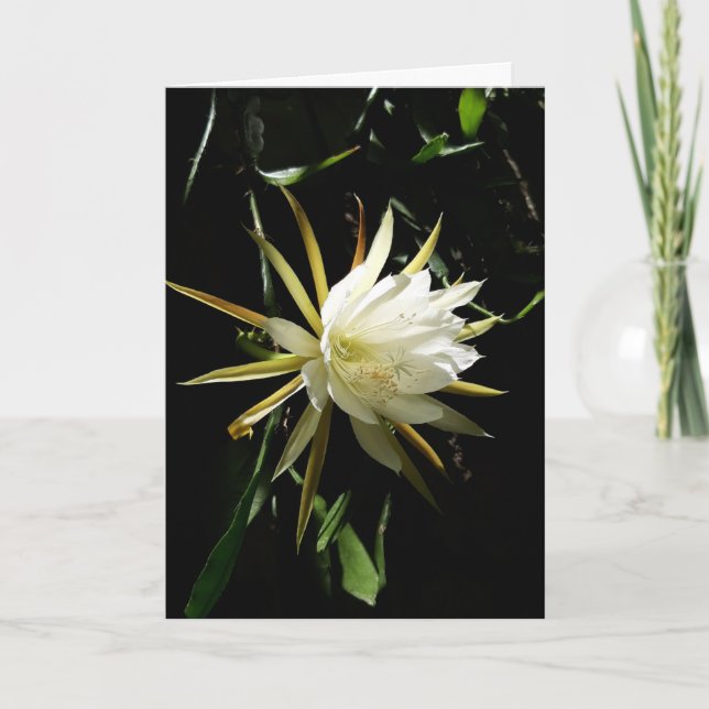 Cactus Bloom Card Kort (Framsida)