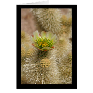 Cactus Bloom Hälsningskort